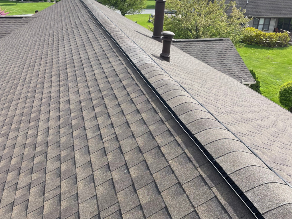 roofing contractor